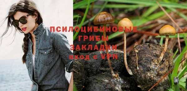 ALPHA-PVP Заводоуковск