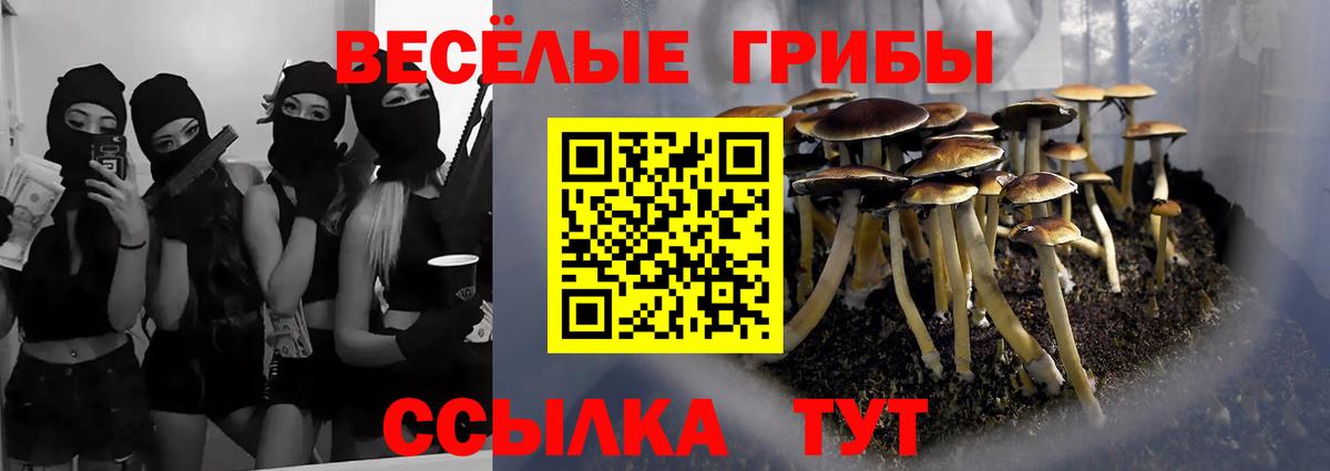 Галлюциногенные грибы Psilocybine cubensis  Славянск-на-Кубани  Галлюциногенные грибы Psilocybine cubensis 