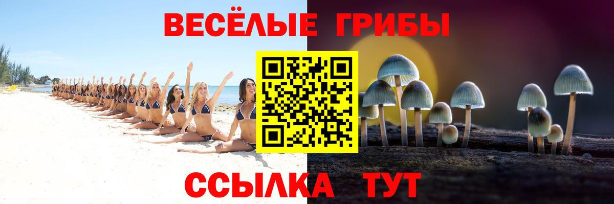 где продают наркотики  Галлюциногенные грибы прущие грибы  Вход с VPN  Славянск-на-Кубани  Галлюциногенные грибы ЛСД 