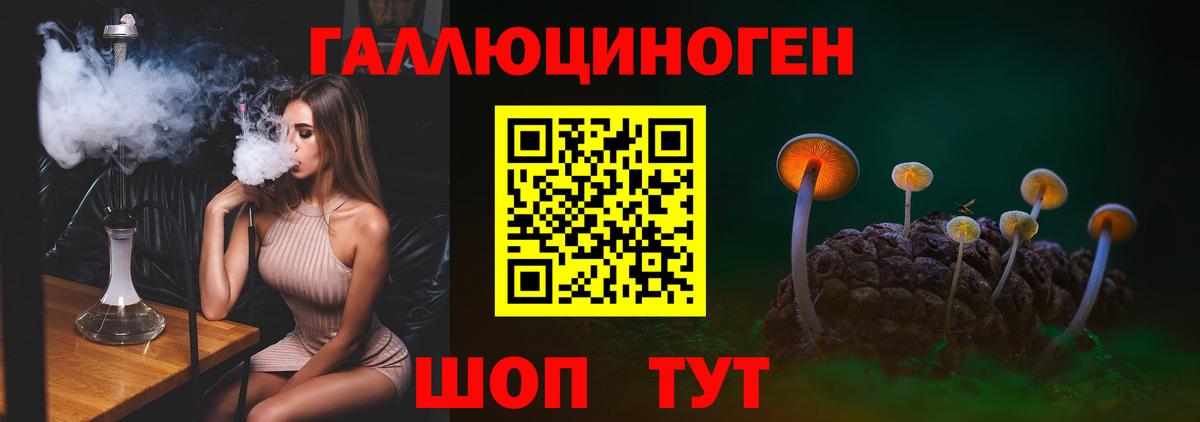 Галлюциногенные грибы Cubensis Славянск-на-Кубани